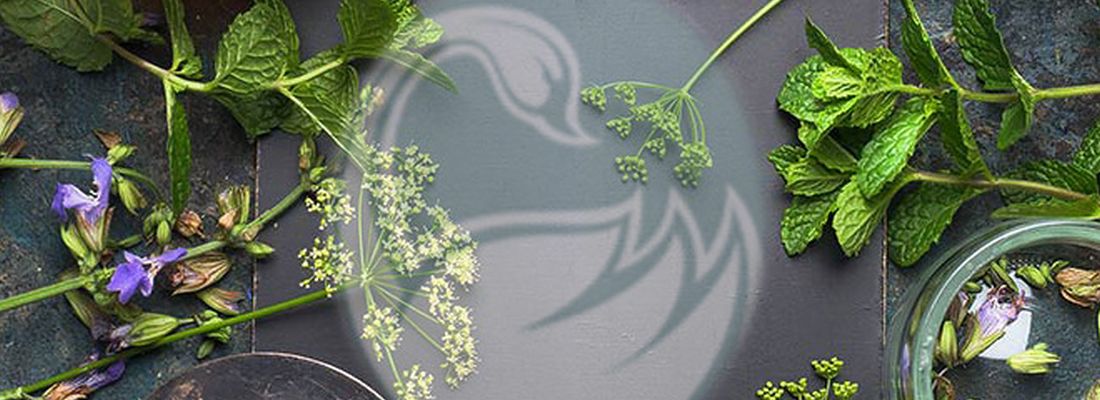 Best Health Solutions