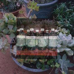 natural herbs and supplements
